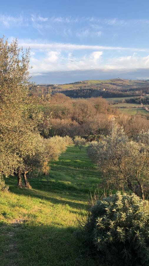 Il Capanno Villa Asciano Exterior foto